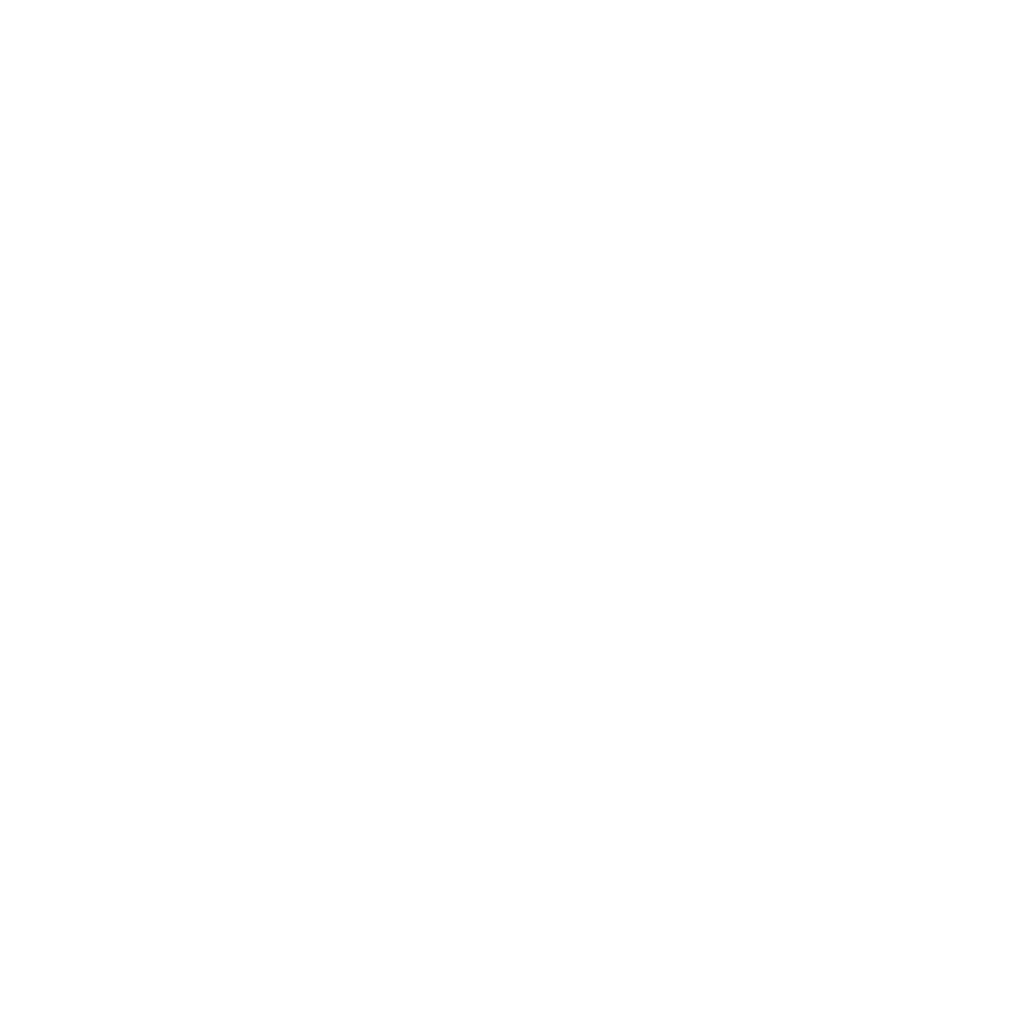 the-mirror-logo-black-and-white